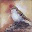 Sparrow in the evening painting