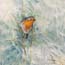 Painting Robin, miniature painting Atelier for Hope Doetinchem The Netherlands