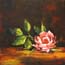 Miniature Painting Rose Rose Atelier for Hope Art