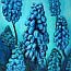 Painting hyacint grapes Flower paintings Atelier for Hope Doetinchem