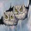 Painting little owls in acrylic Atelier for Hope