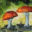 Atelier for Hope Netherlands | paintings animal&flowers | painting toadstool