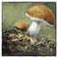 Kerst kaart paddenstoel schilderij op kaart Atelier for Hope Doetinchem