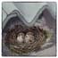 Kunstkaart musjes in nestje onder dakpannen Atelier for Hope Kaarten van schilderijen