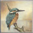 keramische tegel afbeelding schilderij IJsvogel wintermorgen Atelier for hope schilderijen op tegel