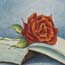 Mini schilderij rode roos op boek